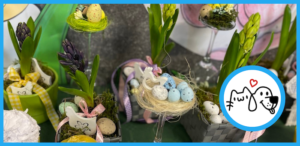 Read more about the article Dziękujemy za pomoc!