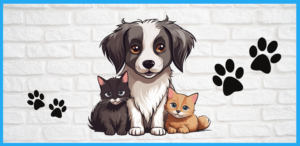 Read more about the article Podziękowania