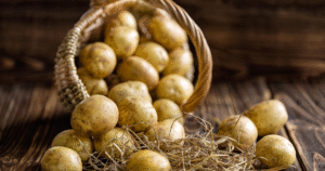 Read more about the article Stacja- Ziemniak