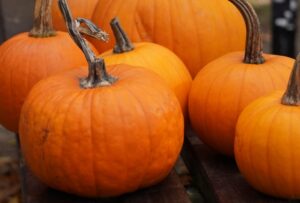 Read more about the article Zagadka rozwiązana – gra terenowa